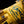 Gants CAMEL x JT Racing Gants