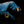 Gants CAMEL x JT Racing Gants